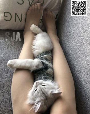 好男人资源在线观看高清社区_1080日韩电影在线