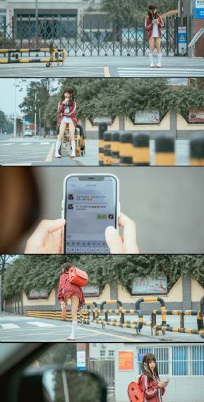 梁洁 白色橄榄树_DVD视频大全
