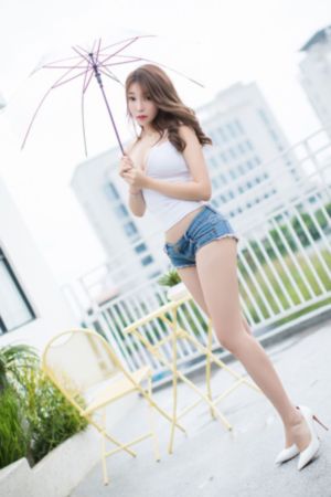 抉择女人们的战争_BD国语免费全集观看