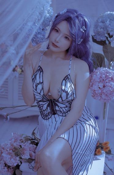 树洞里的熊先生冬眠中_HD动漫免费观看